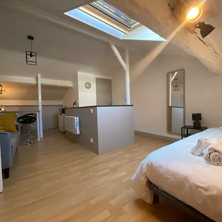 Les Cosy De - Le Nid Douillet - 4* Apartamento Nancy