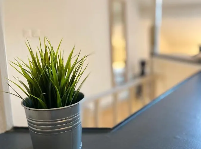 Les Cosy De - Le Nid Douillet - 4* Апартаменты *